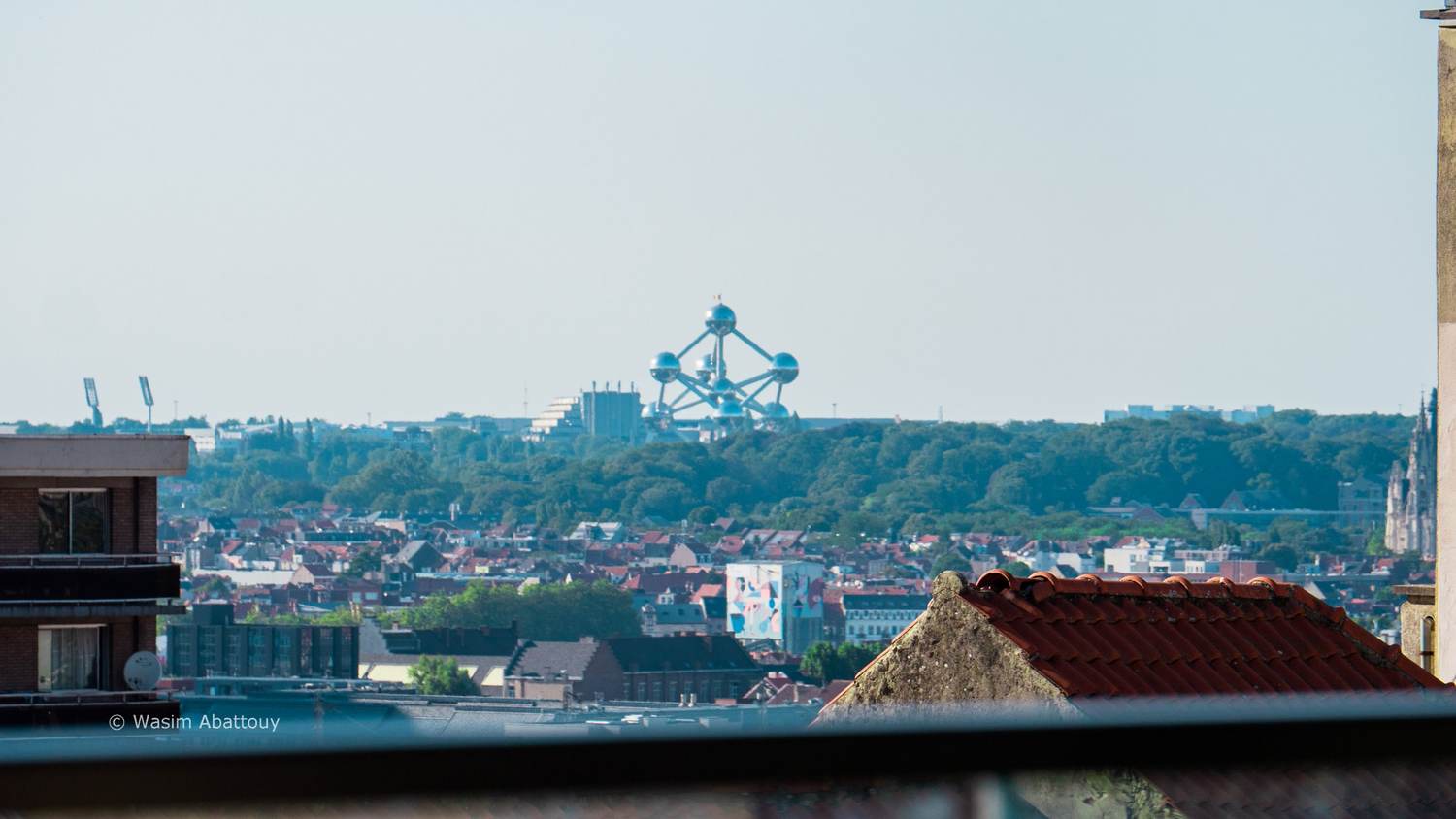 The Atomium in the distance over Brussels rooftops