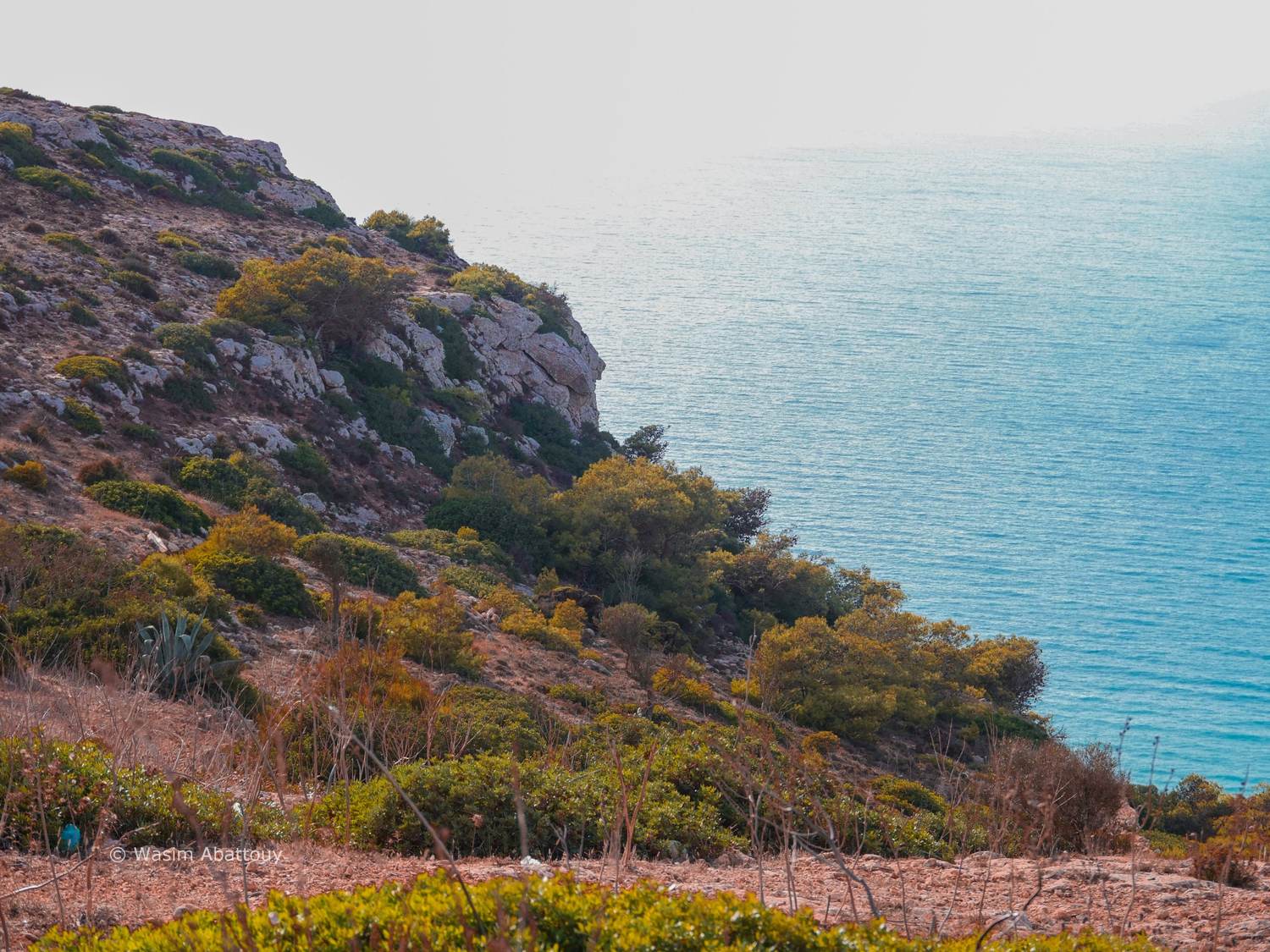 A rocky green coastline above a calm blue sea