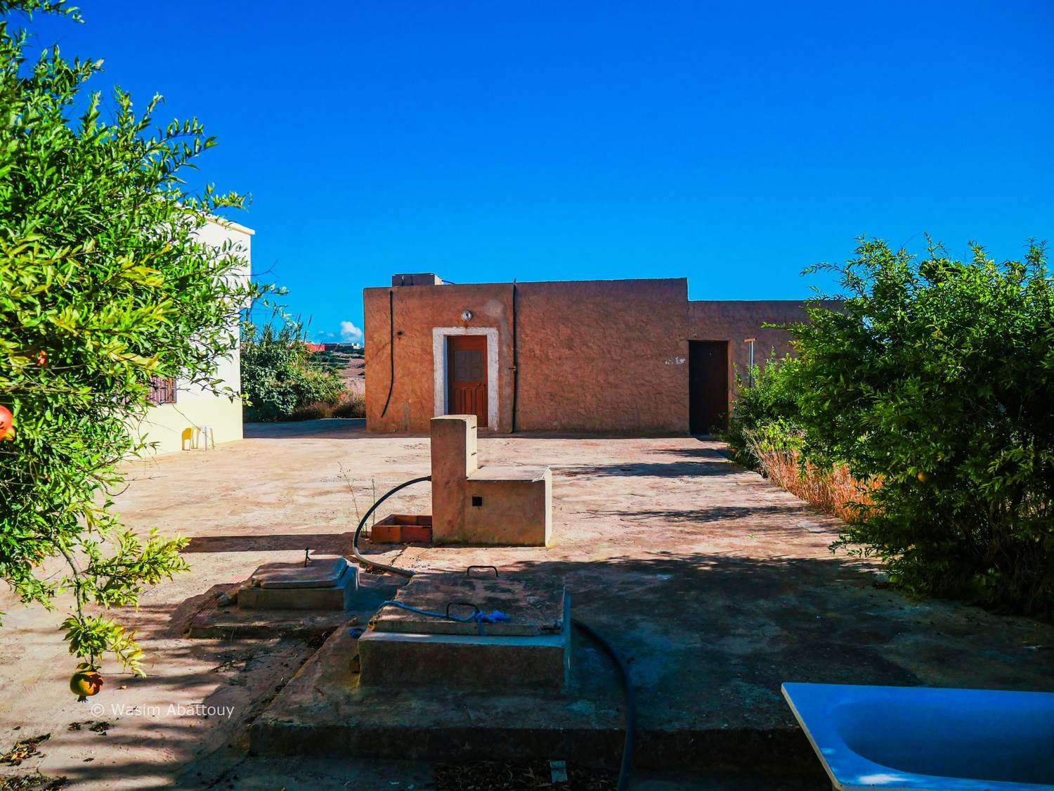 A courtyard with a small outbuilding, a water tap and pomegranate trees
